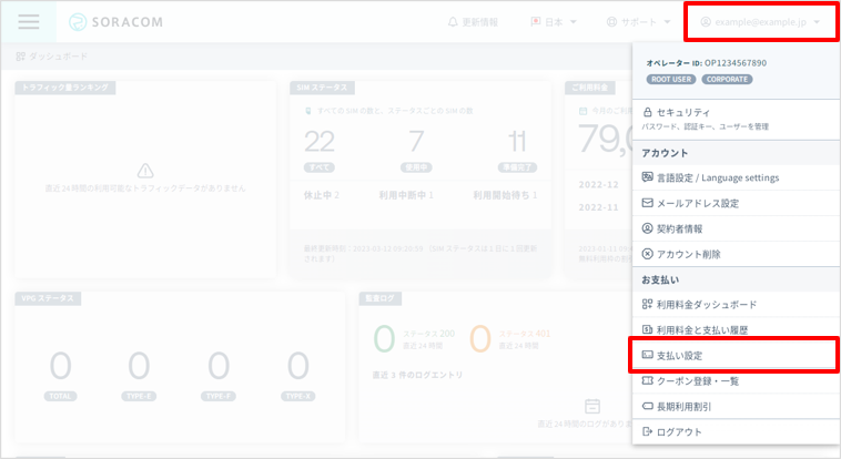 pay-info-invoice.png