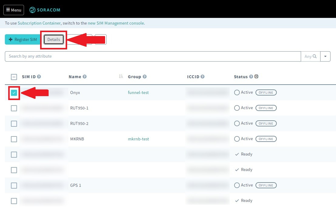 SIM Management list with Details button highlighted